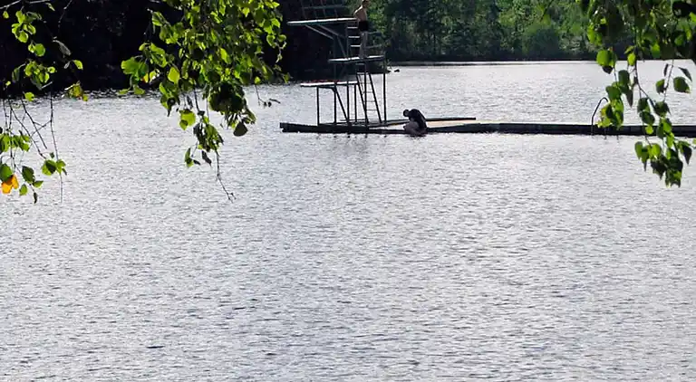 Holiday home in Nybro N