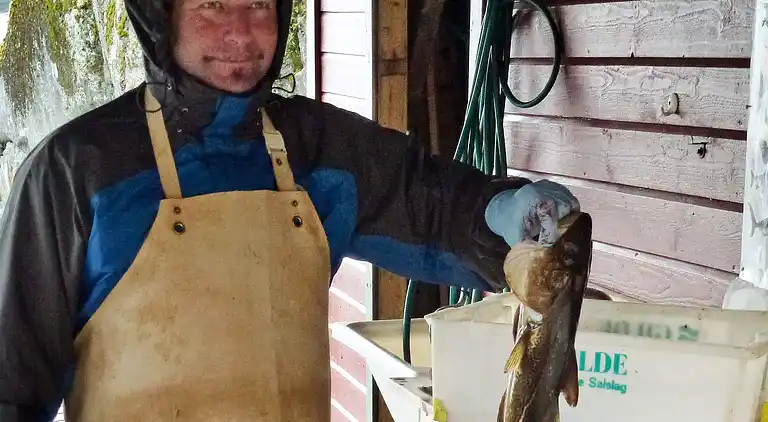 Holiday home in Hosteland