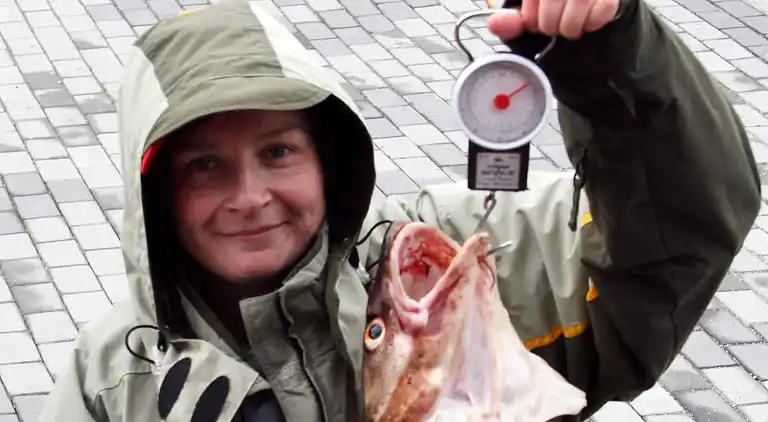 Holiday home in Hosteland