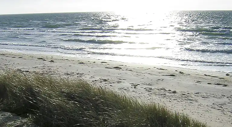 Holiday home in Ristinge