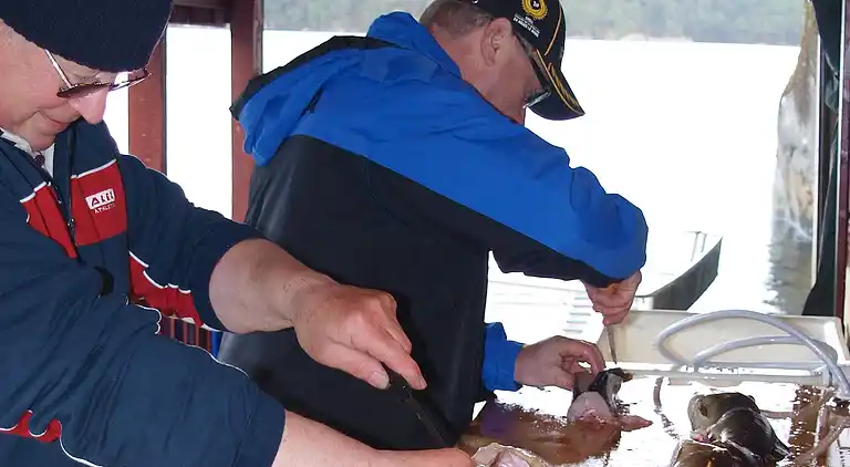 Holiday home in Hosteland