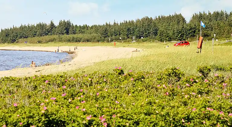 Holiday home in Trend