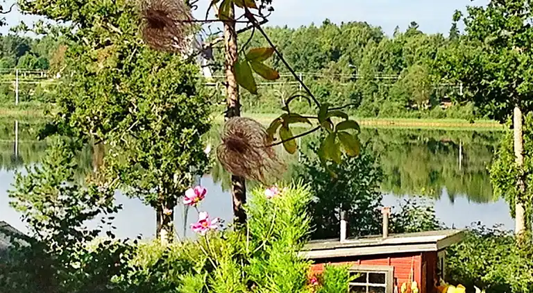 Holiday home in Husgöl