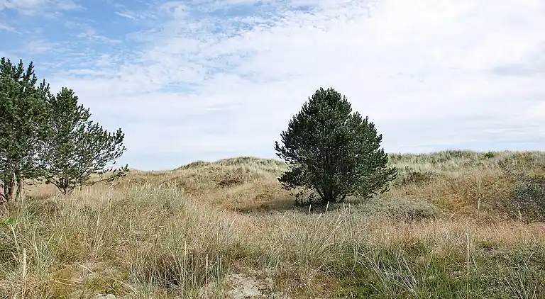 Holiday home in Jerup