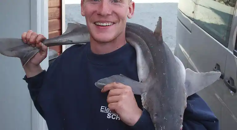 Holiday home in Bokn Municipality