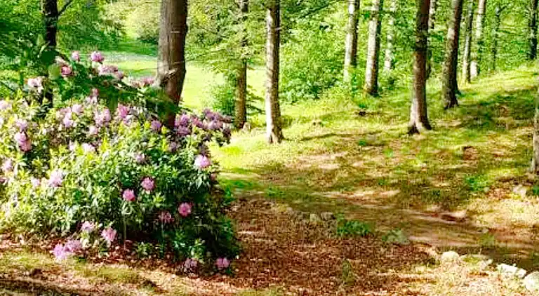 Semesterbostad i Perstorp