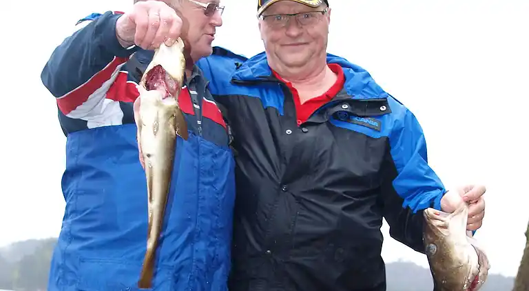 Holiday home in Hosteland