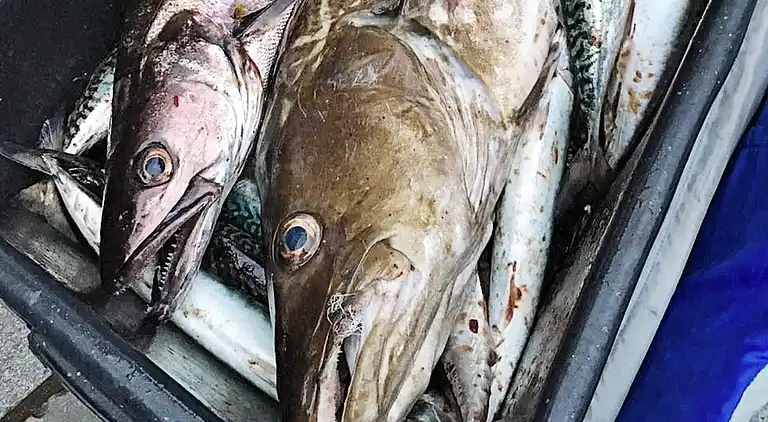 Holiday home in Bygstad