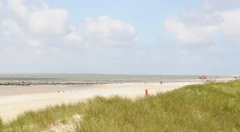 Holiday home in Blåvand