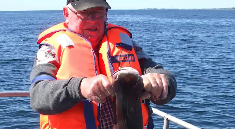 Holiday home in Bokn Municipality