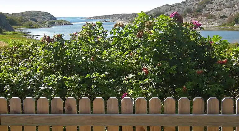 Holiday home in Orust