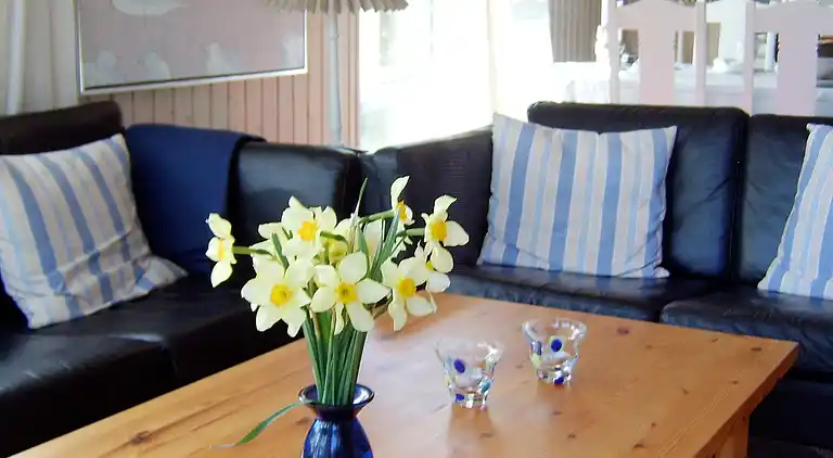 Sommerhus ved Bratten Strand