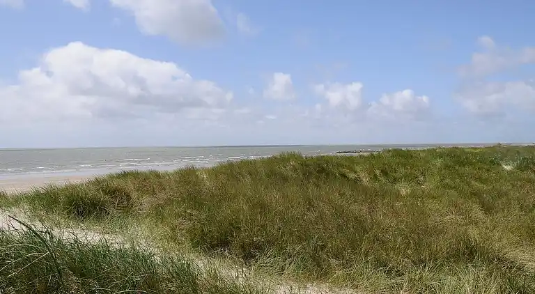Holiday home in Blåvand