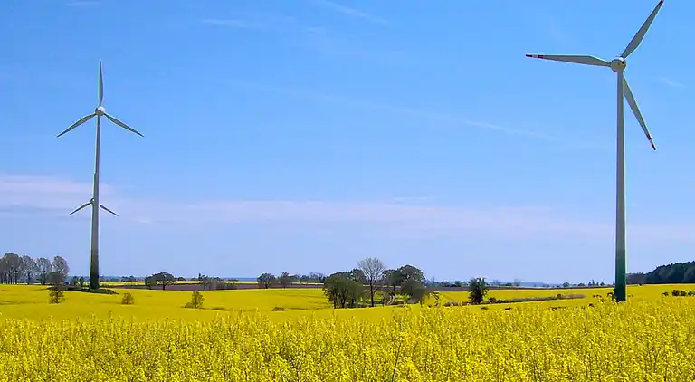 Sommerhus i Kattenberg
