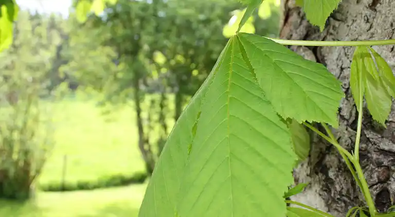 Holiday home in Stenungsund Ö