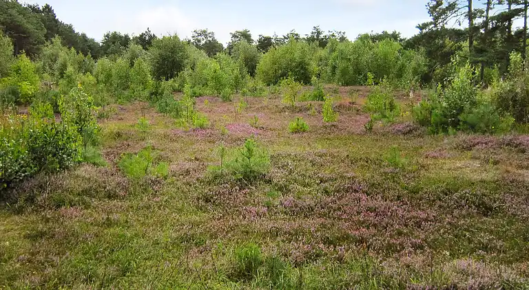 Holiday home in Østerby Havn
