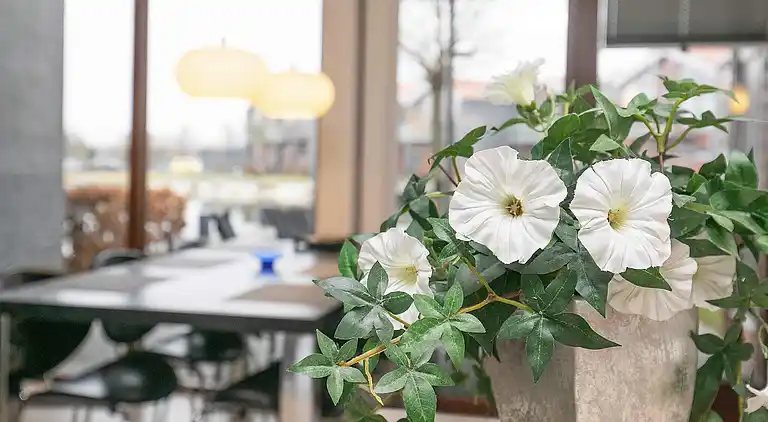 Holiday home in Bogense