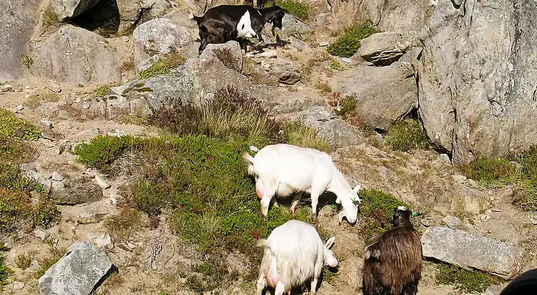 Feriebolig i Vestvågøy