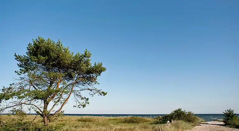 Holiday home in Kattenberg