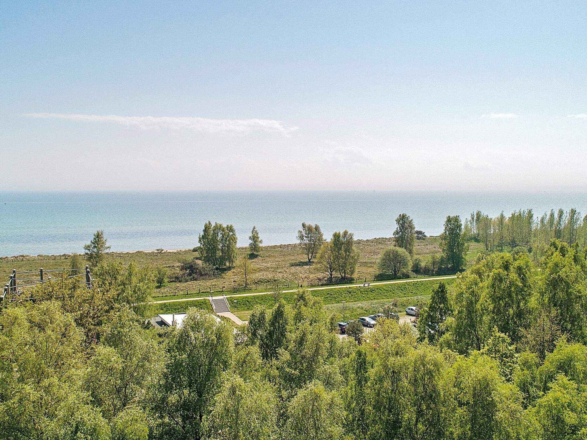 Large Image