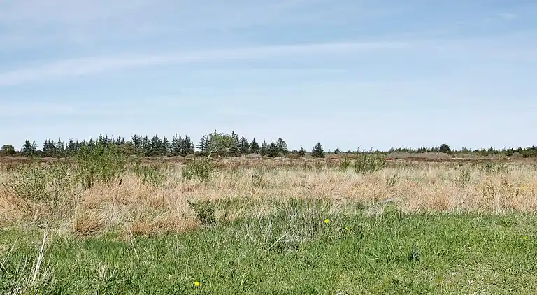 Holiday home in Brovst