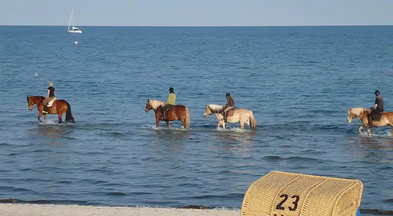 Sommerhus i Kattenberg