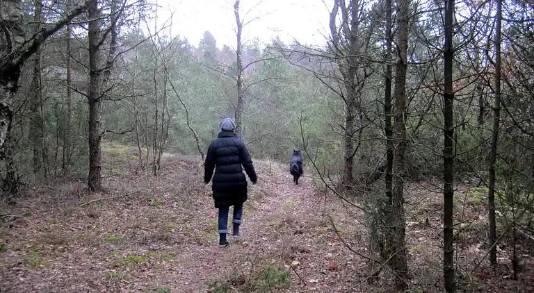 Holiday home in Helberskov Strand