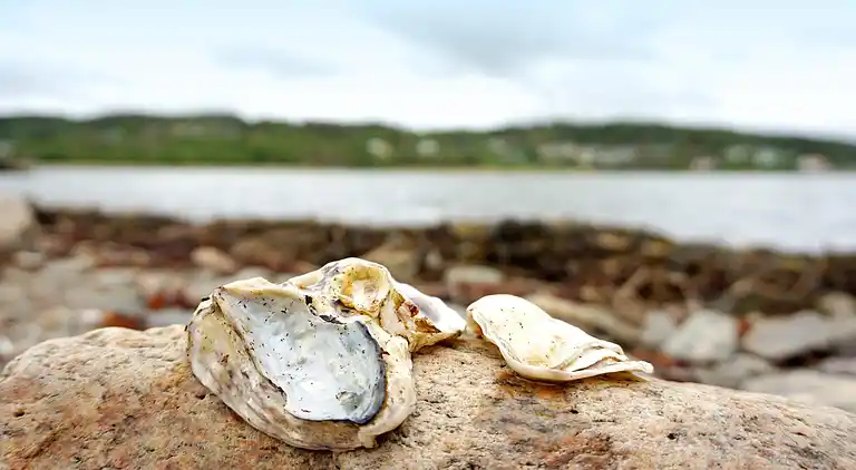Sommerhus i Kungälvs