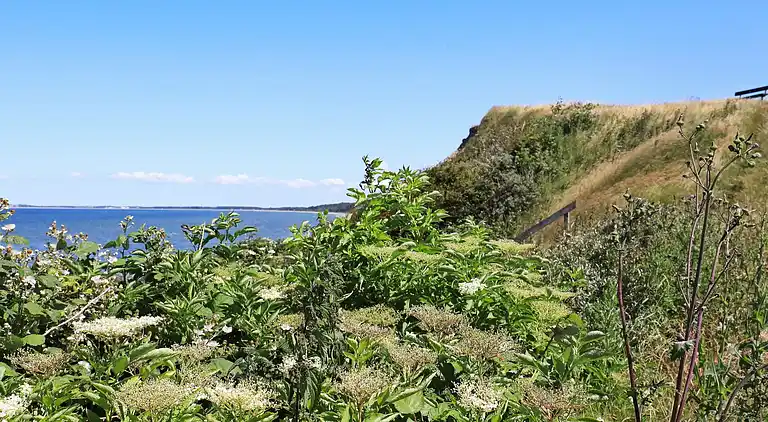 Holiday home in Farsø