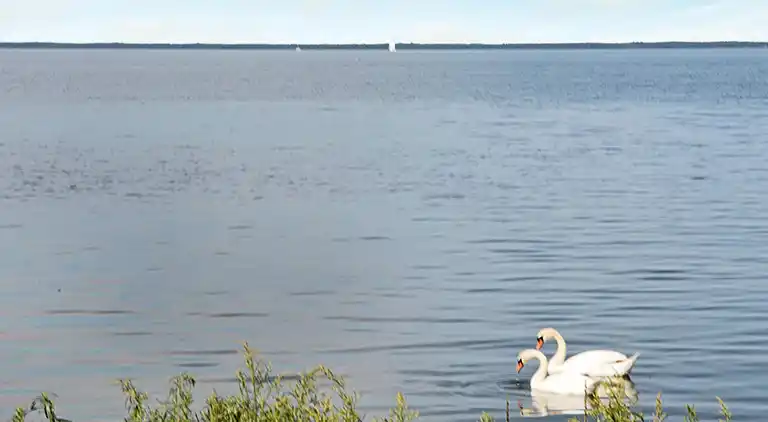 Sommerhus i Mörbylånga
