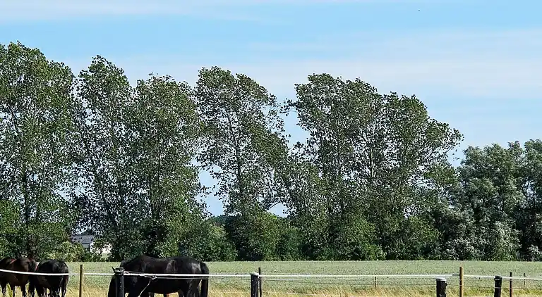 Holiday home in Strøby