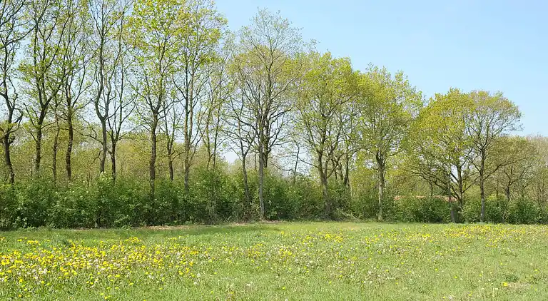 Holiday home in Kvie Sø
