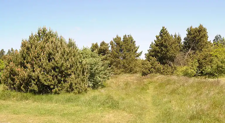 Holiday home in Blåvand