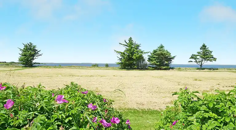 Holiday home in Bork Havn