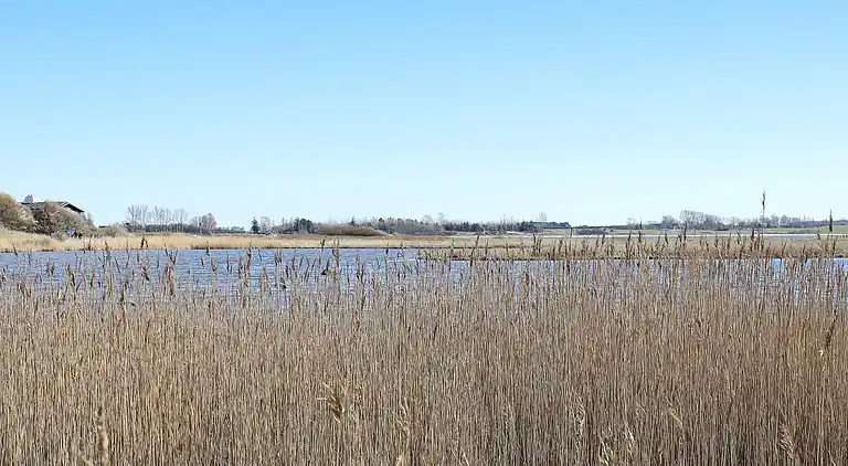 Feriebolig i Martofte