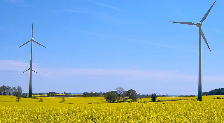 Holiday home in Kattenberg