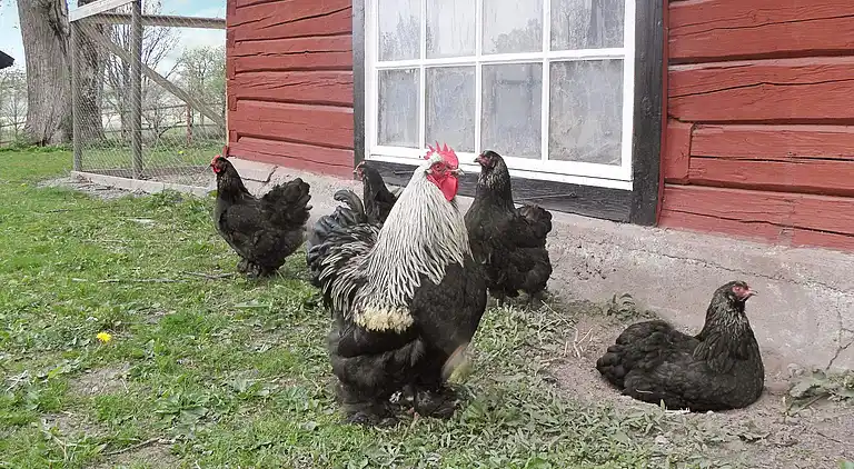 Holiday home in Gullspång S