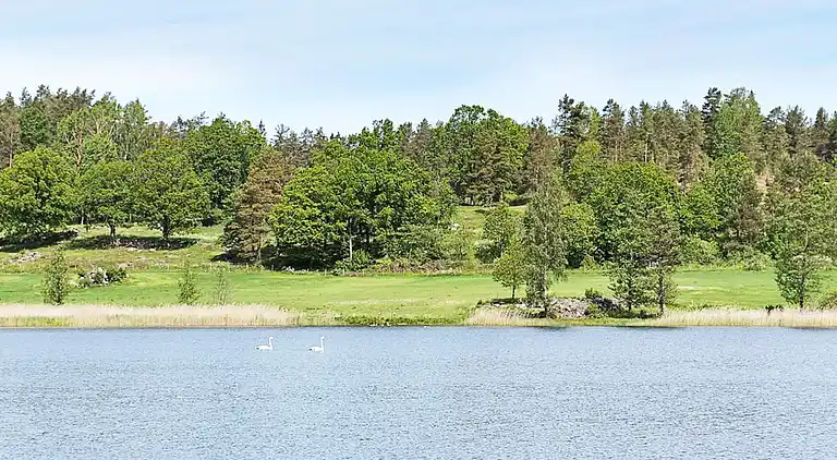 Semesterbostad i Västervik V