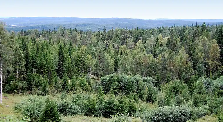 Holiday home in Torsby V