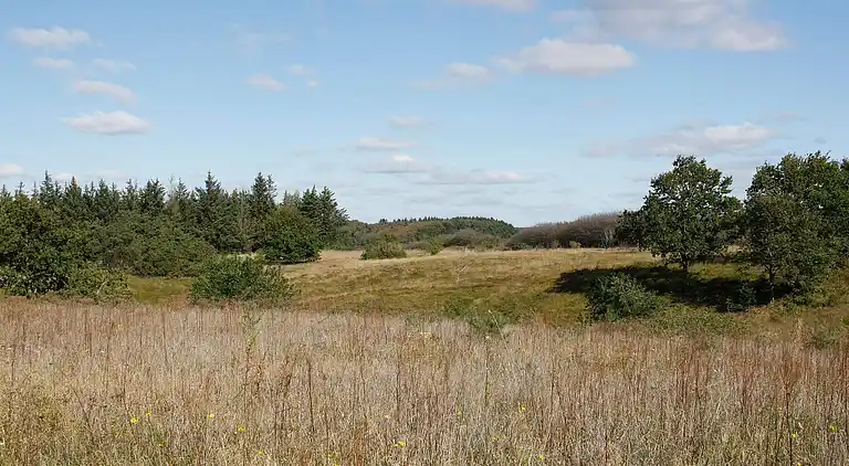 Holiday home in Skals