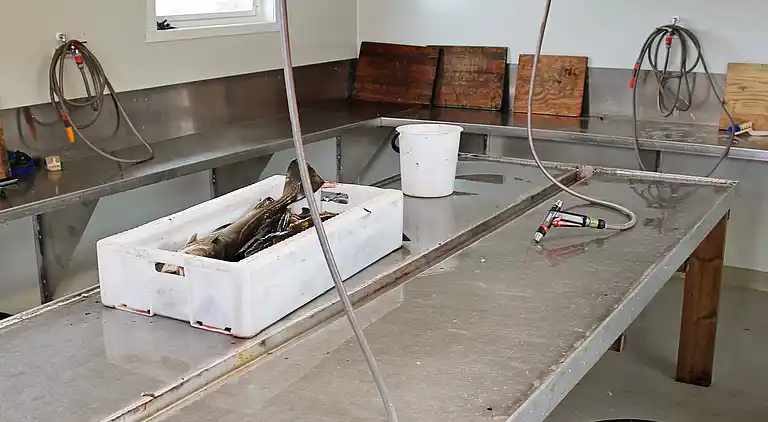 Casa vacanze in Vestvågøy