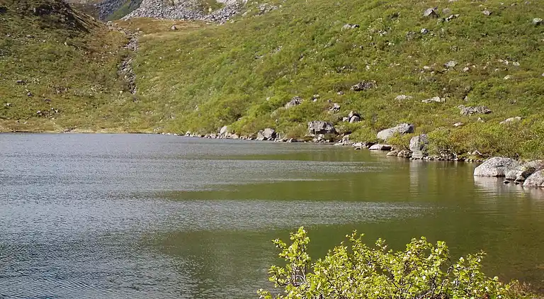 Feriebolig i Vestvågøy