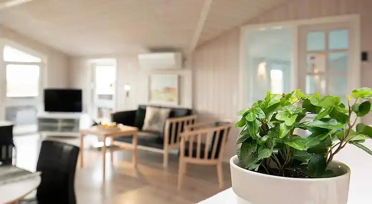 Vakantiehuis in Blåvand