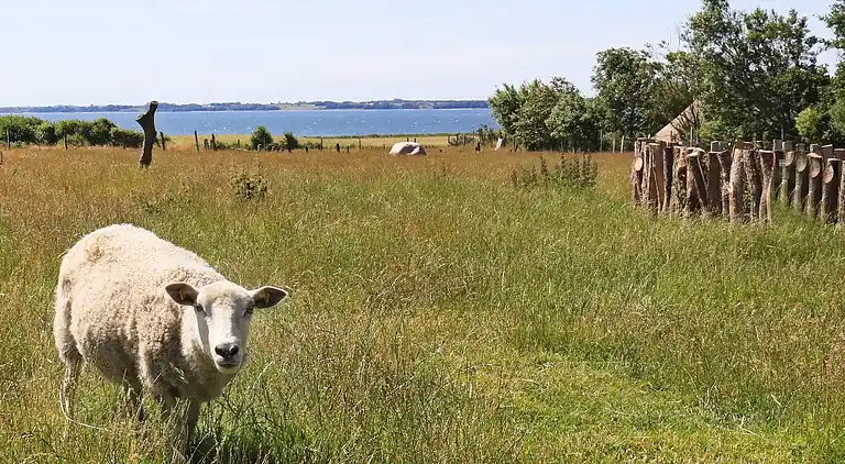 Holiday home in Farsø