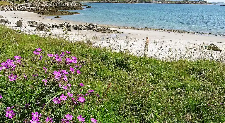 Feriebolig i Vestvågøy