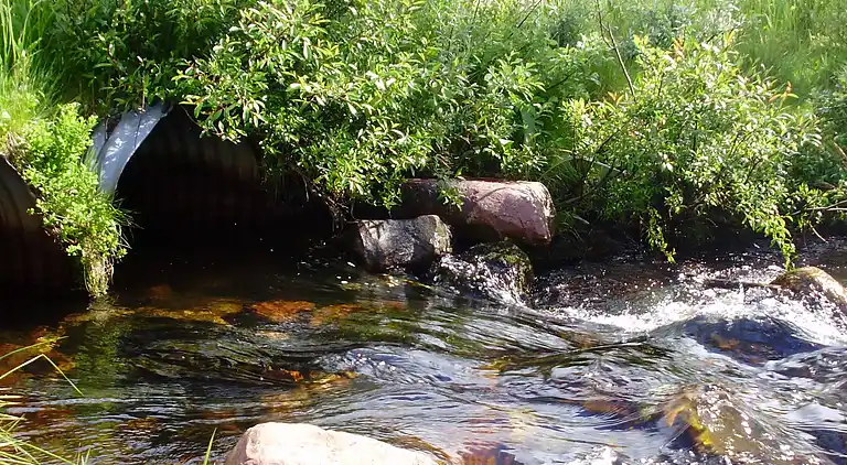 Maison de vacances en Malung NV