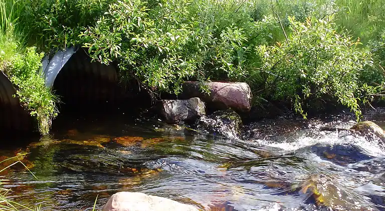 Holiday home in Malung NV