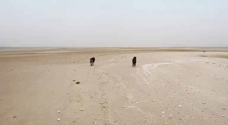 Holiday home in Helberskov Strand