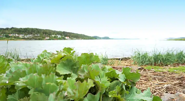 Sommerhus i Kungälvs