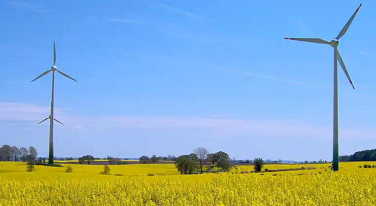 Holiday home in Kattenberg